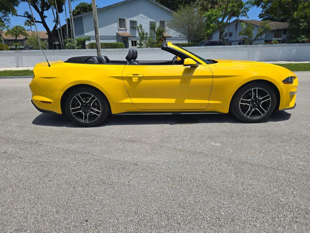 2018 Ford Mustang EcoBoost Premium Convertible 2D photo 4