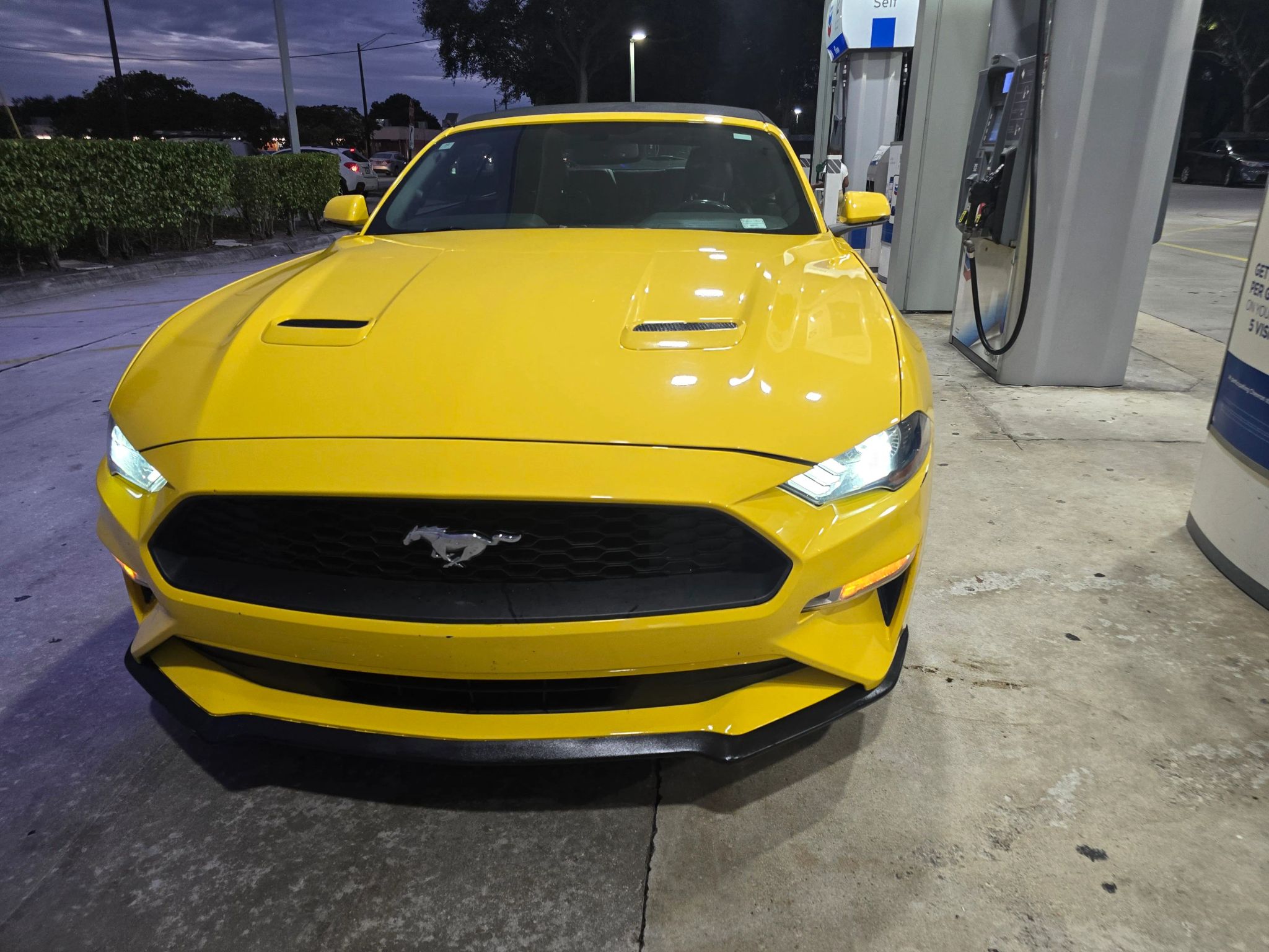 2018 Ford Mustang EcoBoost Premium photo 2